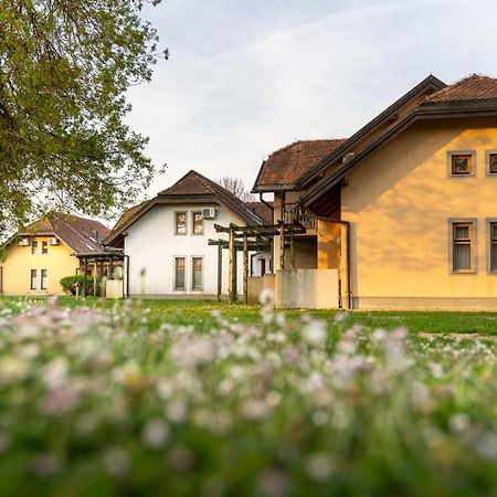 Terme Banovci - Hotelsko Naselje Zeleni Gaj Exterior photo