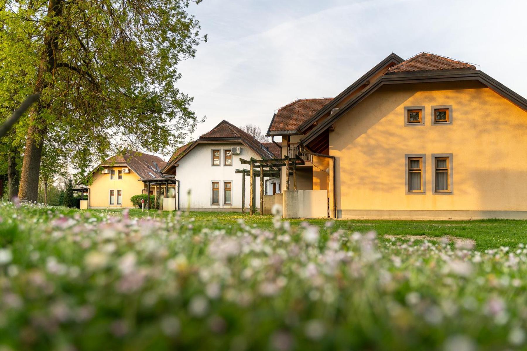 Terme Banovci - Hotelsko Naselje Zeleni Gaj Exterior photo